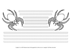 Spinne-mit-Lineatur.pdf
